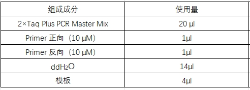Simgen-快速DNA提取檢測試劑盒，2×Taq Plus PCR Master -配置PCR擴增體系，加1/10體積模板進(jìn)行PCR擴增